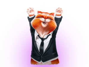 casino-banner-cat